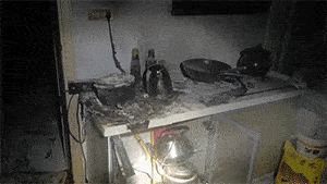 今晚快检查你家厨房,这类隐患别忽视!她家的已经成封面图了……(图6) 今晚快检查你家厨房,这类隐患别忽视!她家的已经成封面图了……(图6)